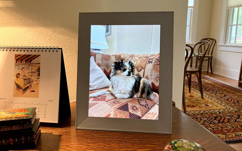 Aura Mason Luxe best overall digital picture frame showing a dog on a desk